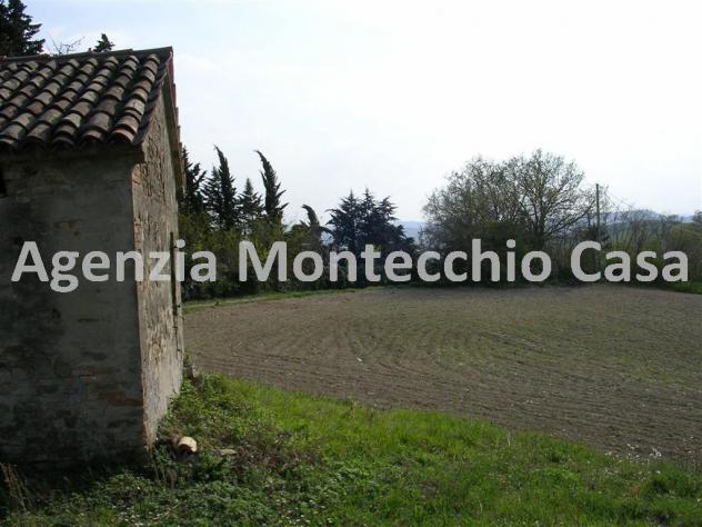 Terreno agricolo, bosco e capanno - Foto 12