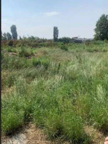 Immobile in asta di 1246 m² in vendita a Campiglia dei Berici - Foto 5
