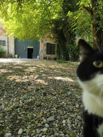 Porzione di casa in vendita a Carpi