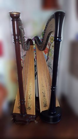 Arpista per matrimonio
