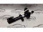 Coppia Ammortizzatori Anteriori Renault Clio IV 543028280R