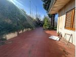 VENDESI - REGGIO CALABRIA - ORTì