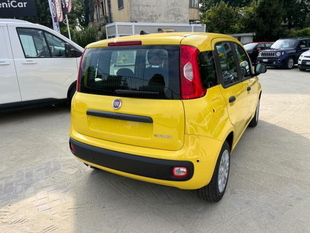 FIAT Pandina Pandina 1.0 firefly hybrid Icon s&s 65cv - Foto 8