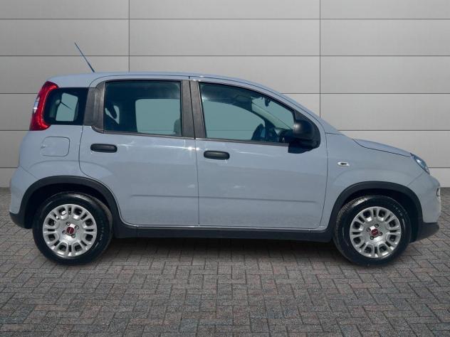 FIAT Panda 3ª serie 1.0 FireFly S&S Hybrid - Foto 3
