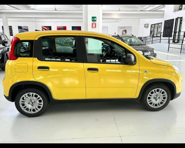 FIAT Panda 3ª serie Panda 1.0 FireFly S&S Hybrid Pop - Foto 5