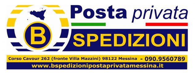 servizio autista automunito - Foto 2