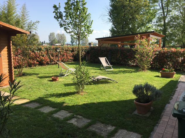 Cerco Golf giovane auto munita - Foto 2