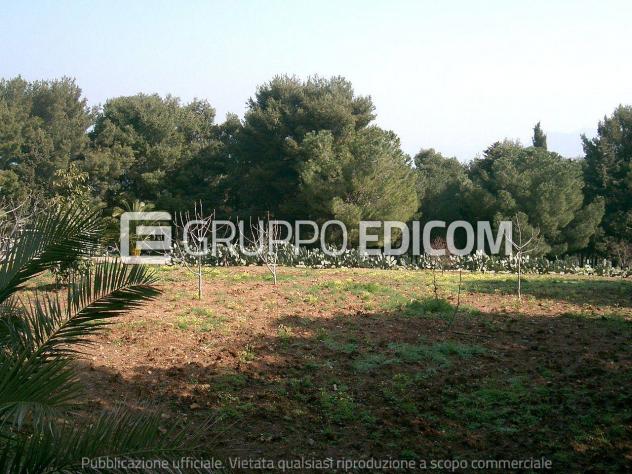 Terreno di 76 mq in vendita a Belmonte Mezzagno - Rif. 4557339 - Foto 5