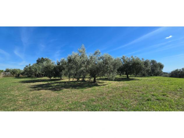 Agricolo in Viale del Lavoro - Foto 5