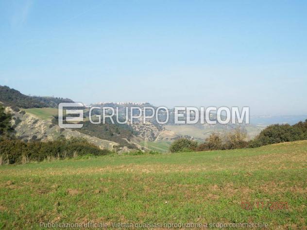 Terreno di 46370 mq in vendita a Montescaglioso - Rif. 4555042 - Foto 8