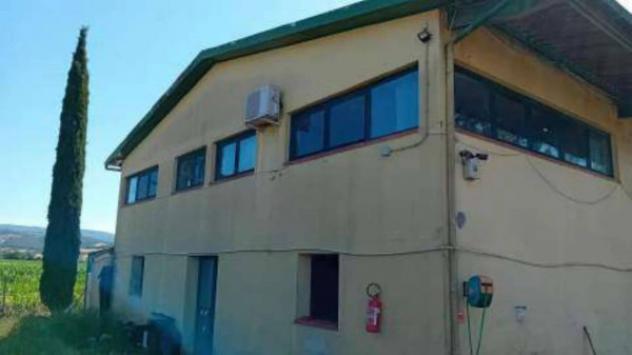 Immobile in asta di 503 m² con più di 5 locali e box auto doppio in vendita a Gavorrano - Foto 11