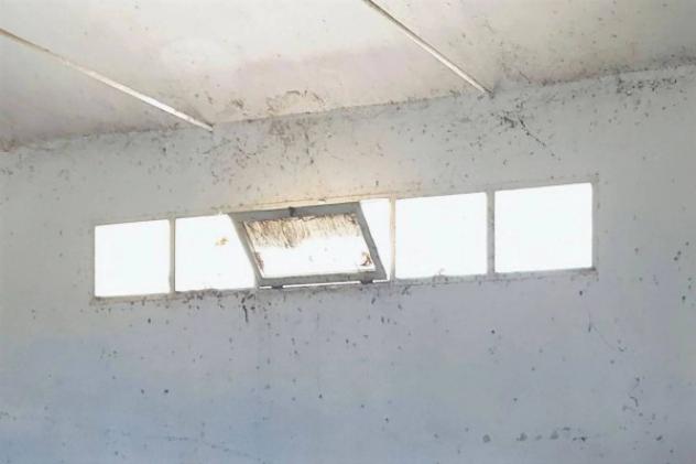 Immobile in asta di 1393 m² in vendita a Elmas - Foto 11