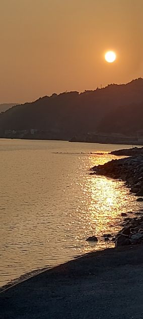 ASSISTENZA FAMIGLIARE A SIGNORA AUTONOMA