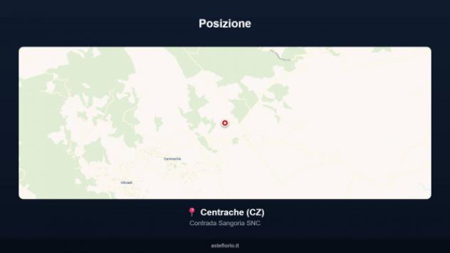 Immobile in asta di 413 m² con più di 5 locali in vendita a Centrache - Foto 15