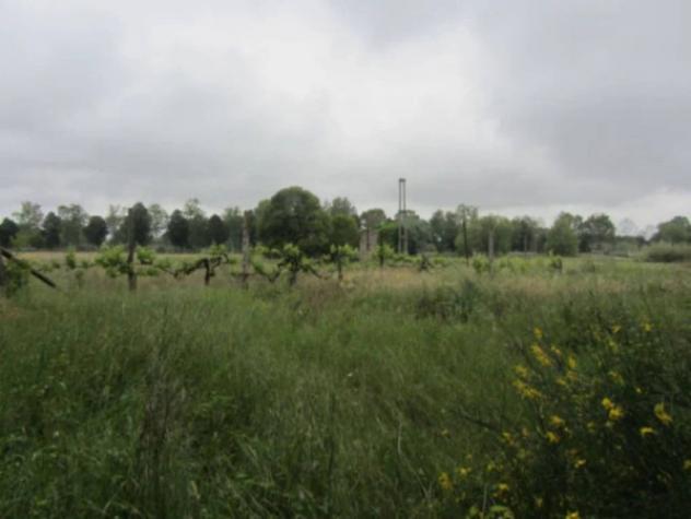 Immobile in asta di 39675 m² in vendita a Pesaro - Foto 7