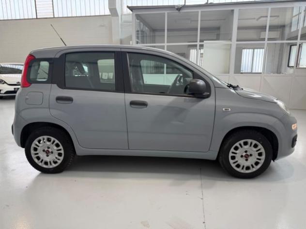 FIAT Panda 1.2 Easy PREZZO REALE rif. 23905234 - Foto 4