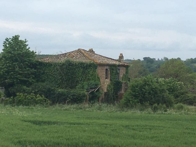 Terreno con casale in vendita a Civita Castellana - Via di Celle - Foto 5