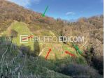 Terreno di 10601 mq  in vendita a Farra di Soligo - Rif. 4548002