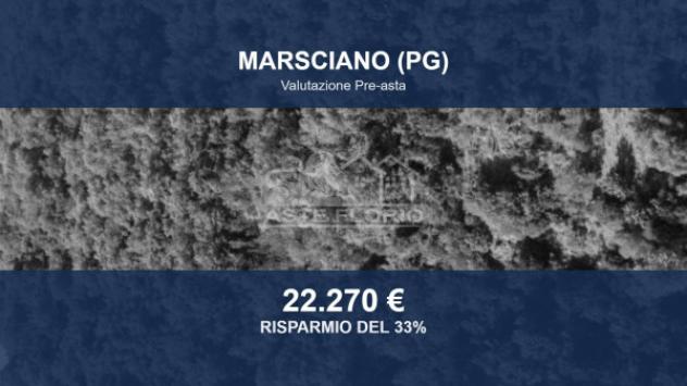 Immobile in asta di 105380 m² in vendita a Marsciano