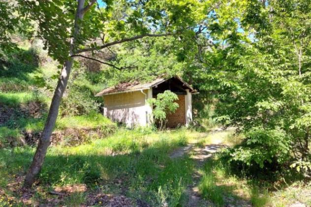 Immobile in asta di 21000 m² in vendita a Pietrabruna - Foto 8