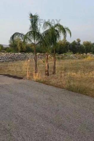 Terreno in vendita a Siracusa, Cassibile - Foto 8