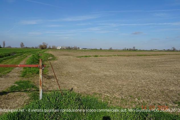 R.G.E. 407/2023 Pavia - Foto 3
