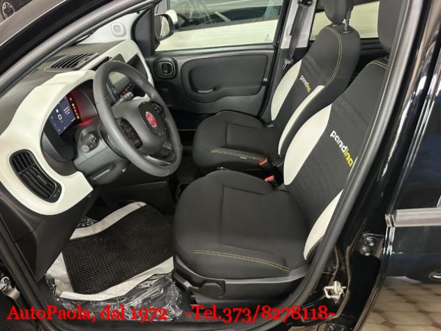 FIAT Panda 1.0 FireFly S&S PANDINA Hybrid rif. 23712623 - Foto 8