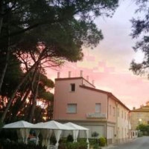 I Gigli di Mare di Elena Gigli - Foto 2
