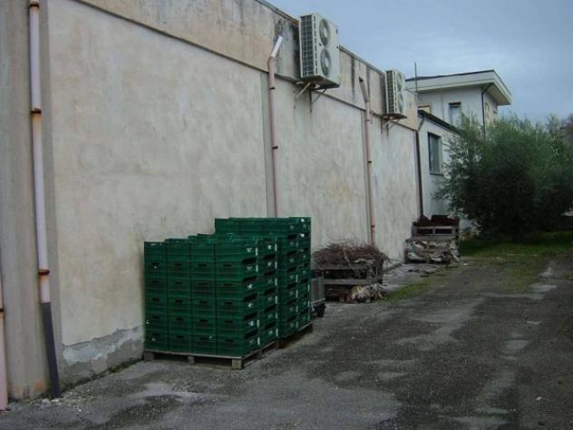 Immobile in asta di 301 m² in vendita a Pergola - Foto 2