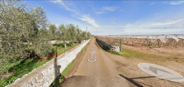 Immobile in asta di 2000 m² con più di 5 locali in vendita a Sammichele di Bari - Foto 8