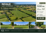 Terreno agricolo di oltre 15.000 mq