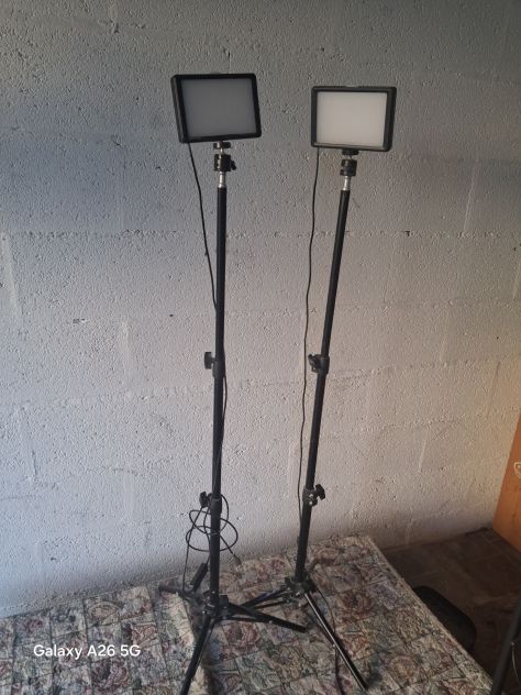Coppia di Luci LED Pannello con Stativi Telescopici per Streaming e Foto/Video - Foto 2
