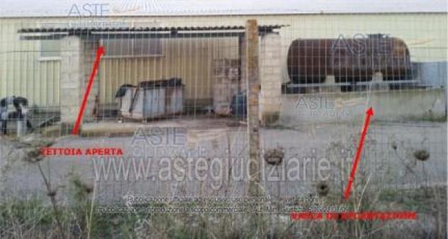 IMMOBILI-IMMOBILE INDUSTRIALE-Località Sa Mussurilia, Bia Serra Gureu snc - Foto 4