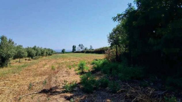 Immobile in asta di 277110 m² in vendita a Gioia Tauro - Foto 12