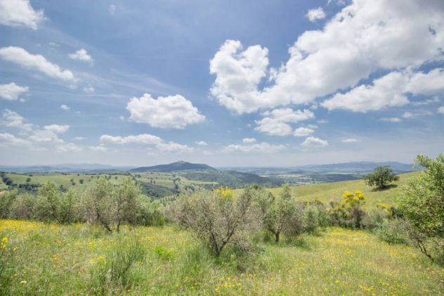 TOSCANA ..... Ovunque in Toscana - Foto 2