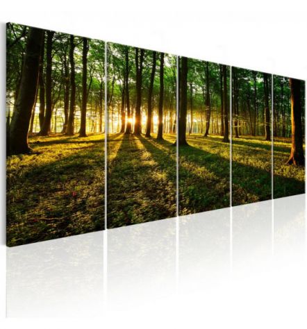 Quadro Foresta Viva Cm. 200x80 E 225x90 ARREDALACASA