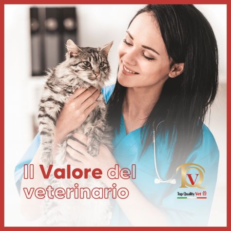 Agente canale Veterinario