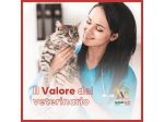 Agente canale Veterinario