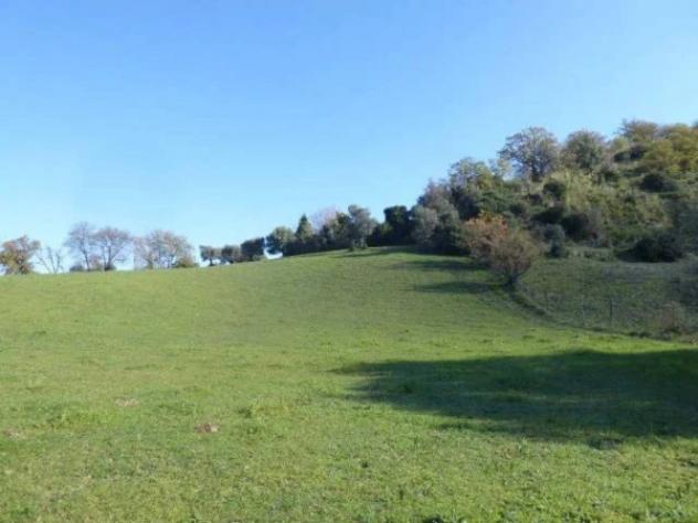 Immobile in asta di 6430 m² in vendita a Casignana - Foto 9