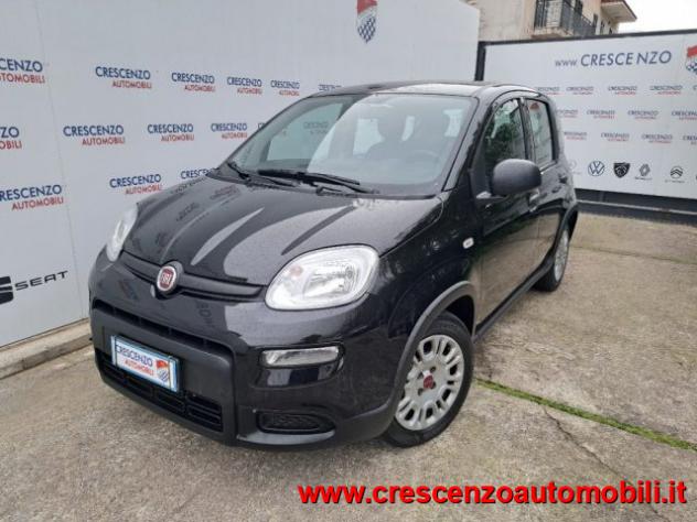 FIAT Panda 1.0 FireFly S&S Hybrid Pandina - AZIENDALE rif. 23794277 - Foto 2