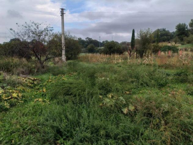Immobile in asta di 138900 m² in vendita a Ascoli Satriano - Foto 4