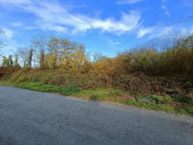 Immobile in asta di 5528 m² in vendita a Borgo Ticino - Foto 3