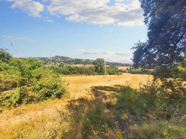 Immobile in asta di 75660 m² in vendita a Monte Castello di Vibio - Foto 6