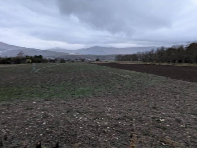Immobile in asta di 9520 m² in vendita a Ofena - Foto 5
