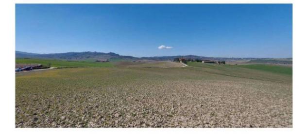 Immobile in asta di 508625 m² in vendita a Castiglione d'Orcia - Foto 3