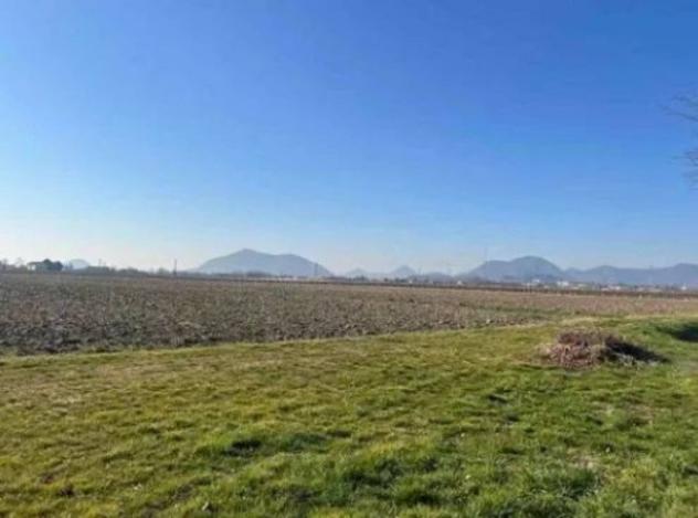Immobile in asta di 20379 m² in vendita a Due Carrare - Foto 2