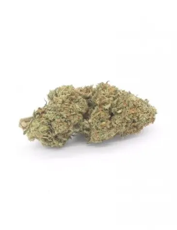copy of Strawberry