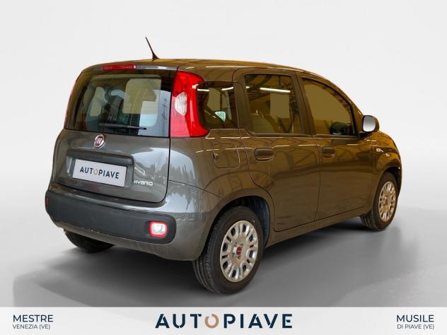 FIAT Panda 1.0 FireFly 70cv S&S Hybrid - Foto 5