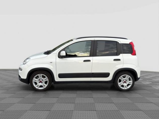 FIAT Panda Panda 1.0 FireFly Hybrid City Life rif. 24170132 - Foto 2