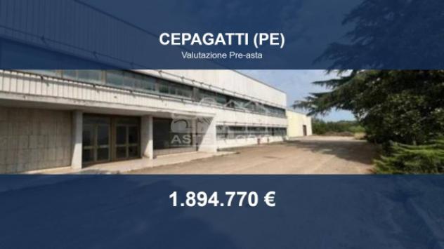 Immobile in asta di 68500 m² in vendita a Cepagatti